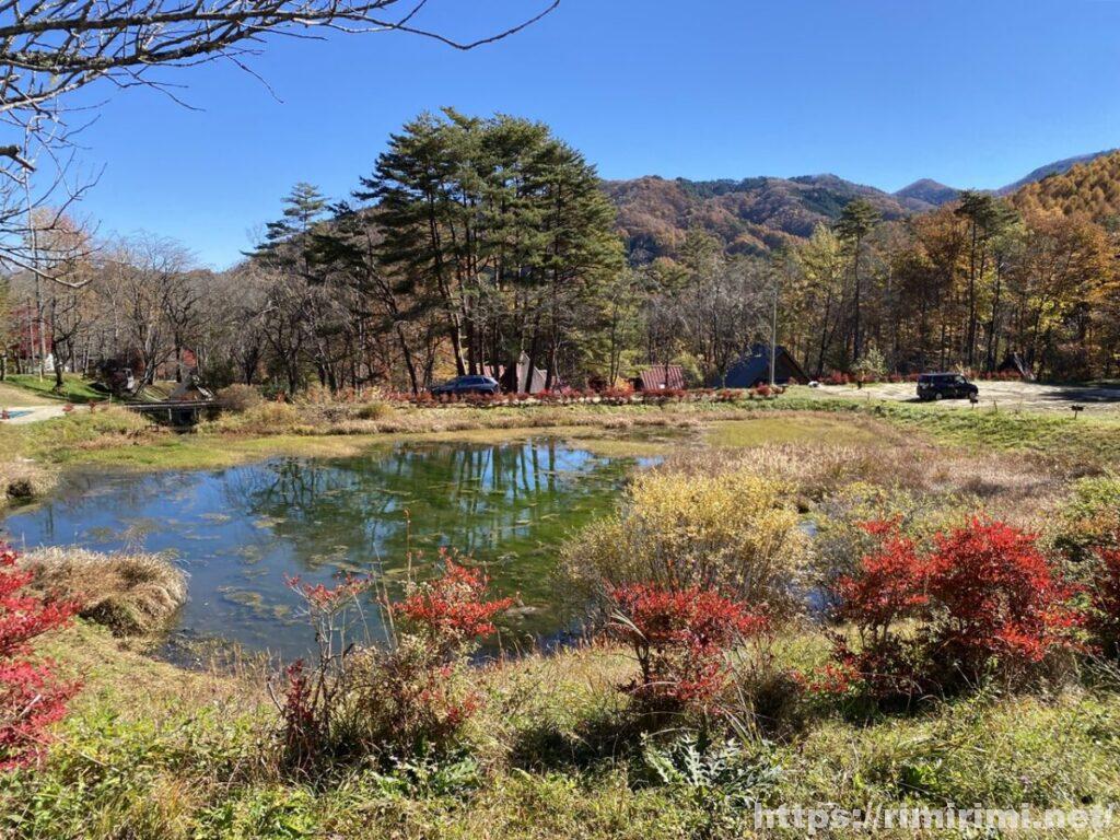 銀河もみじキャンプ場と日本一の星空【長野県】