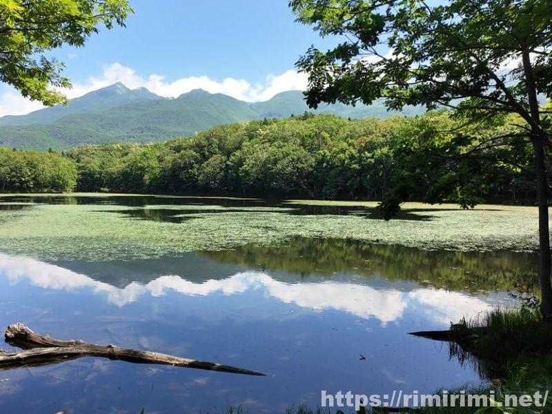 知床五湖の四湖。浮き草が浮かぶ湖面に空と山が鏡のように映り込んでいる