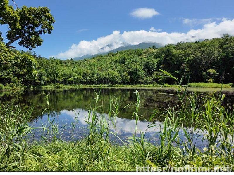 知床五湖の五湖。手前に湖岸の草が茂り、湖面に知床連山が映り込んでいる